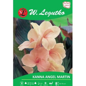 W. Legutko Канна Ангел Мартин кайсия 1 бр