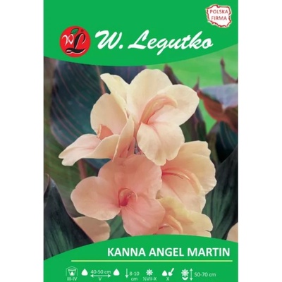 W. Legutko Канна Ангел Мартин кайсия 1 бр