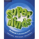 Super Minds Level 1 Workbook with Online Resources