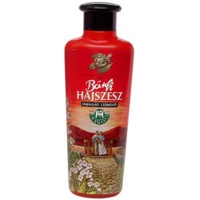 Hajszesz