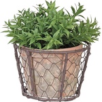 Esschert Design Телена кошница със саксия от теракота с отвор за оттичане Esschert Design - Esschert Design (ZEE-AT10)