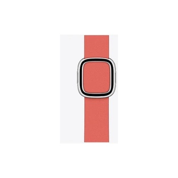 Apple Watch 40mm Band Pink Citrus Modern Buckle Large (Seasonal Fall 2020) (my622zm/a)