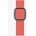 Apple Watch 40mm Band Pink Citrus Modern Buckle Large (Seasonal Fall 2020) (my622zm/a)