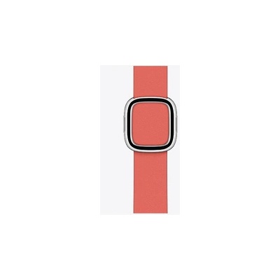 Apple Watch 40mm Band Pink Citrus Modern Buckle Large (Seasonal Fall 2020) (my622zm/a)