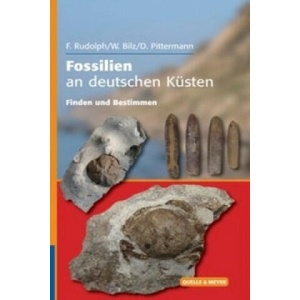 Fossilien an deutschen Küsten | Frank Rudolph, Wolfgang Bilz, Dirk Pittermann (ISBN: 9783494015903)