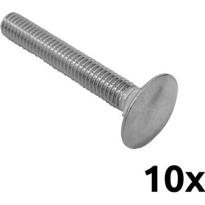 EKOfence Skrutka metrická vratová M6,0x20 DIN603 A2 nerezová 10ks/bal 12305