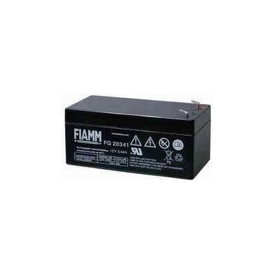 FIAMM FG20341