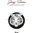 Tiger čaká na úsvit