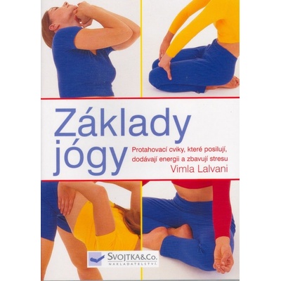 Základy jógy (Vilma Lalvani CZ