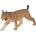 Mojo Animal Planet Иберийски рис (387064)