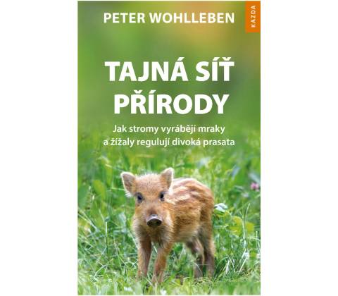 Tajná síť přírody