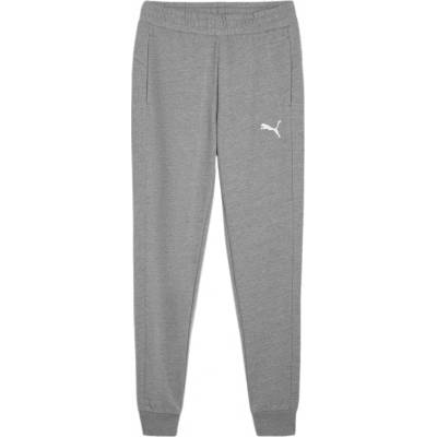 Puma teamGOAL Casuals joggers 658598-33