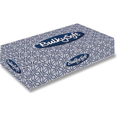 BulkySoft papírové kapesníčky 2-vrstvé 100 ks – Zbozi.Blesk.cz