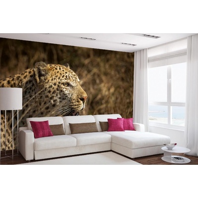 Dimex MA-5-0560 Samolepicí vliesová fototapeta na zeď Leopard na lovu rozměry 375 x 250 cm