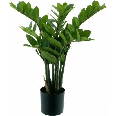 Zamioculcas v květináči zelený 60 cm