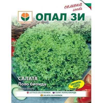 Opal Zi Салата Лоло Бионда