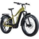 Leader Fox Brasa 2024