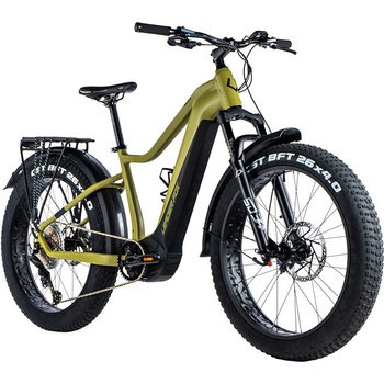 Leader Fox Brasa 2024