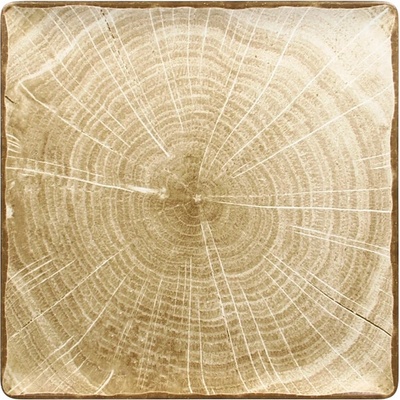 RAK Porcelain Woodart tanier štvorcový 30 x 30 cm machovo zelená WDEDSQ30MG-6