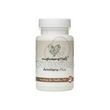 Image 1 of Mushrooms4Pets Armillaria Плюс