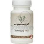 Mushrooms4Pets Armillaria Плюс