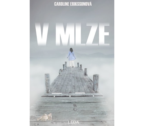 V mlze