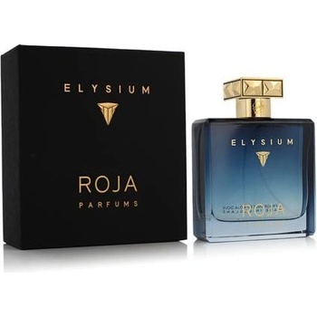 Roja Parfums Elysium Pour Homme kolínská voda pánská 100 ml