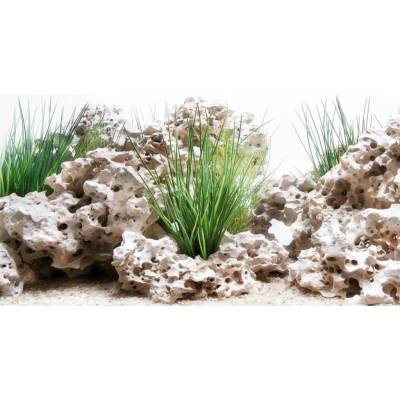 Amtra pozadie Wonder 100 x 45 cm