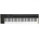 Korg Keystage 61