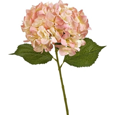 Werner Voss Hortenzia ružová 82cm