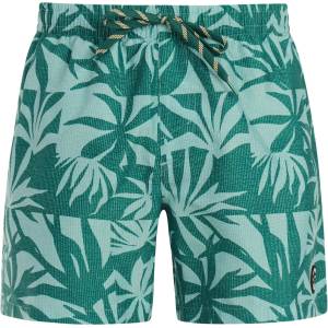 Protest Мъжки бански слипове Protest PRTPanther Swim brief - Tourmaline Blue (050-2387-0214)