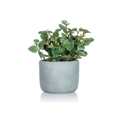 HOME DECOR Kvetina umelá v betónovom kvetináči EUCALYPTUS 19 x 18 cm