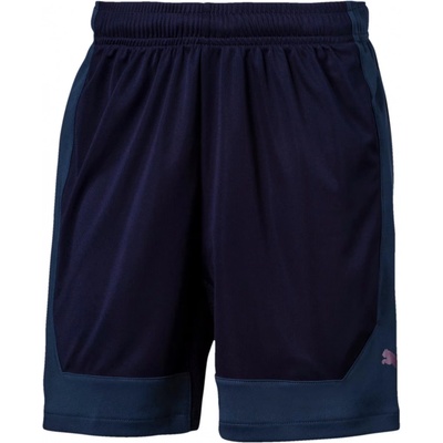 Puma ftblNXT shorts jr 655788-003