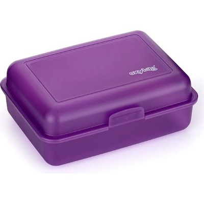 Oxybag 9-37722 desiatový box matný fialový