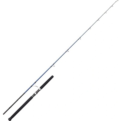 Savage Gear SGS6 Offshore Plug 2,49 m 50-120 g 1+1 díl