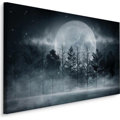 Plátno Úplněk V Zamlženém Lese Varianta: 70x50
