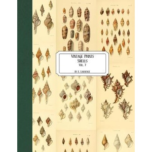 Vintage Prints: Shells: Vol. 7 | E. Lawrence (ISBN: 9781727216141)