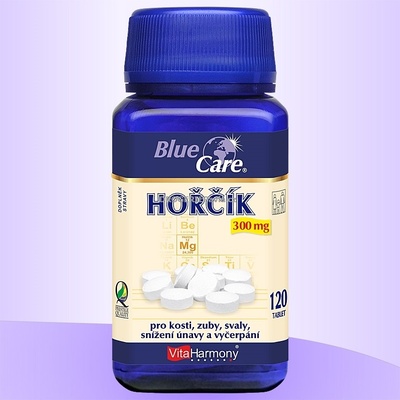 VitaHarmony Hořčík 300 mg 120 tablet