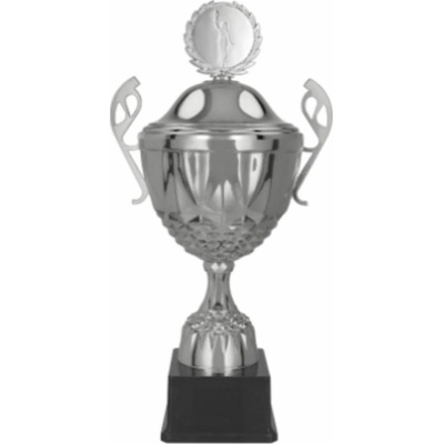 Kovový pohár s poklicí Stříbrný Výška: 32 cm Průměr: 14 cm