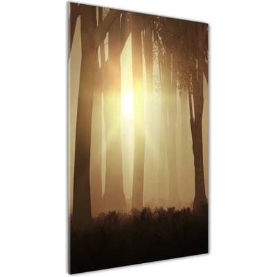 Vertikálny foto obraz sklenený Hmla v lese 50x100 cm