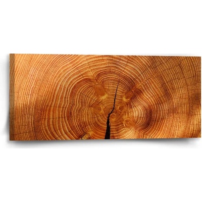 Sablio Obraz Drevo 2 - 110x50 cm