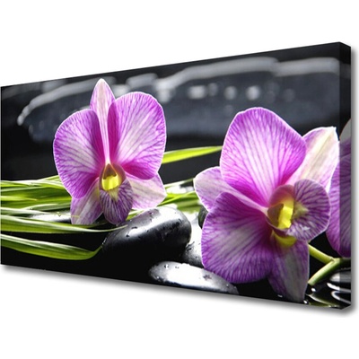 Obraz Canvas Orchidea kamene zen kúpele 100x50 cm