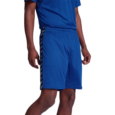 Hummel šortky HMLAUTHENTIC PL shorts 219970-7045