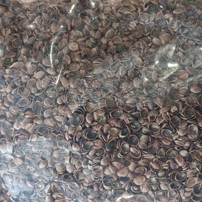 Zelená země Konopné otruby 1 kg