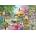 House of Puzzles - Puzzle Best Friends XXL - 500 piese