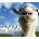 Goat Simulator (Nightmare Edition)