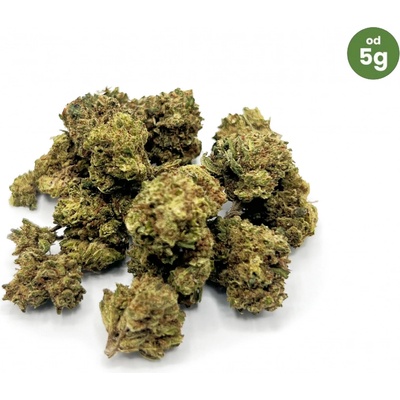 CBDčko CBD Jack Herer malé paličky THC do 0,3% 5 g