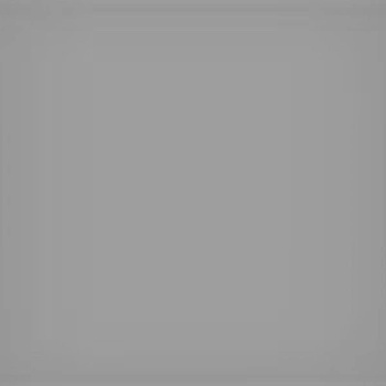 LEE Filters ND 0,6 ProGlassND06 100x100