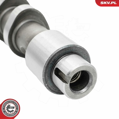 Vačkový hřídel ESEN SKV 80SKV010 – Sleviste.cz