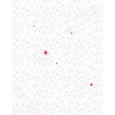 Komar Vliesová fototapeta Cherry Blossom rozměry 200 x 250 cm